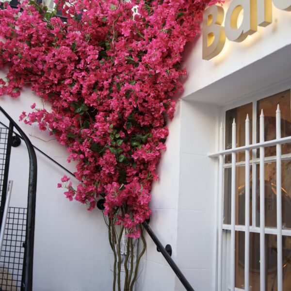 pink bougainvillea decor