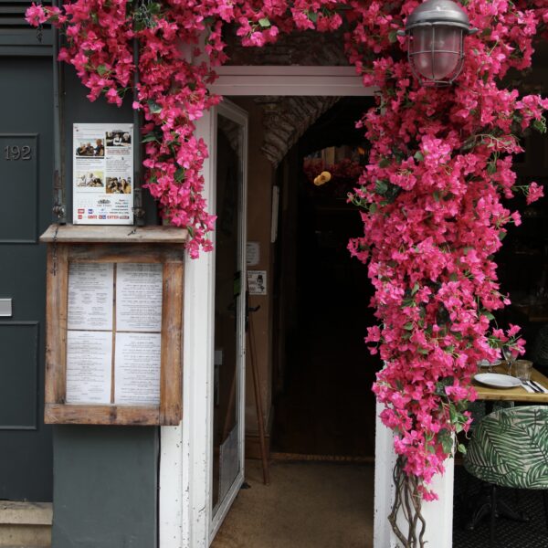 Magenta Bougainvillea Garland - Image 10