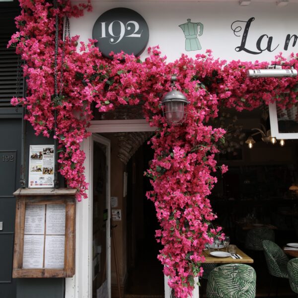 pink bougainvillea decor