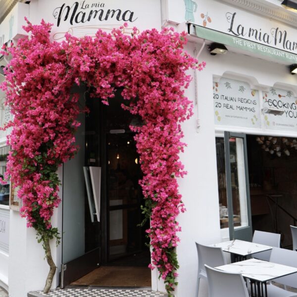 pink bougainvillea decor
