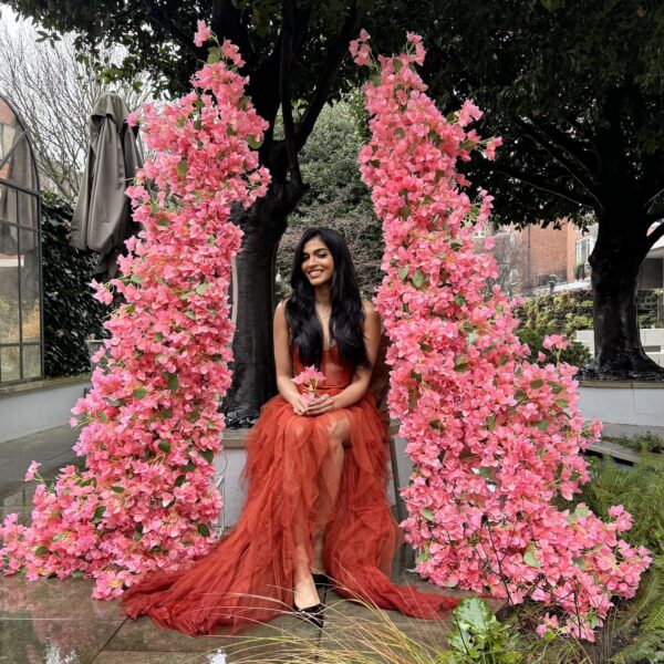 pink bougainvillea decor
