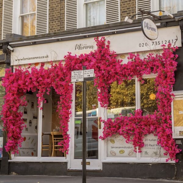 bougainvillea artificial