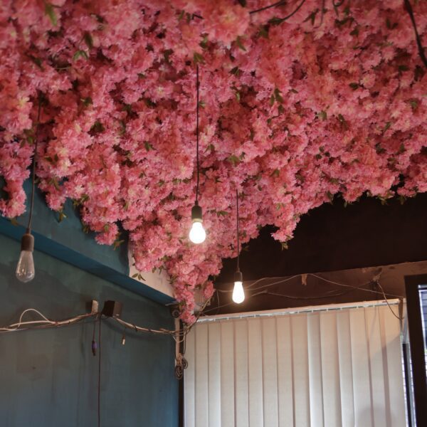 cherry blossom ceiling
