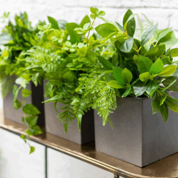 greenery pots for
