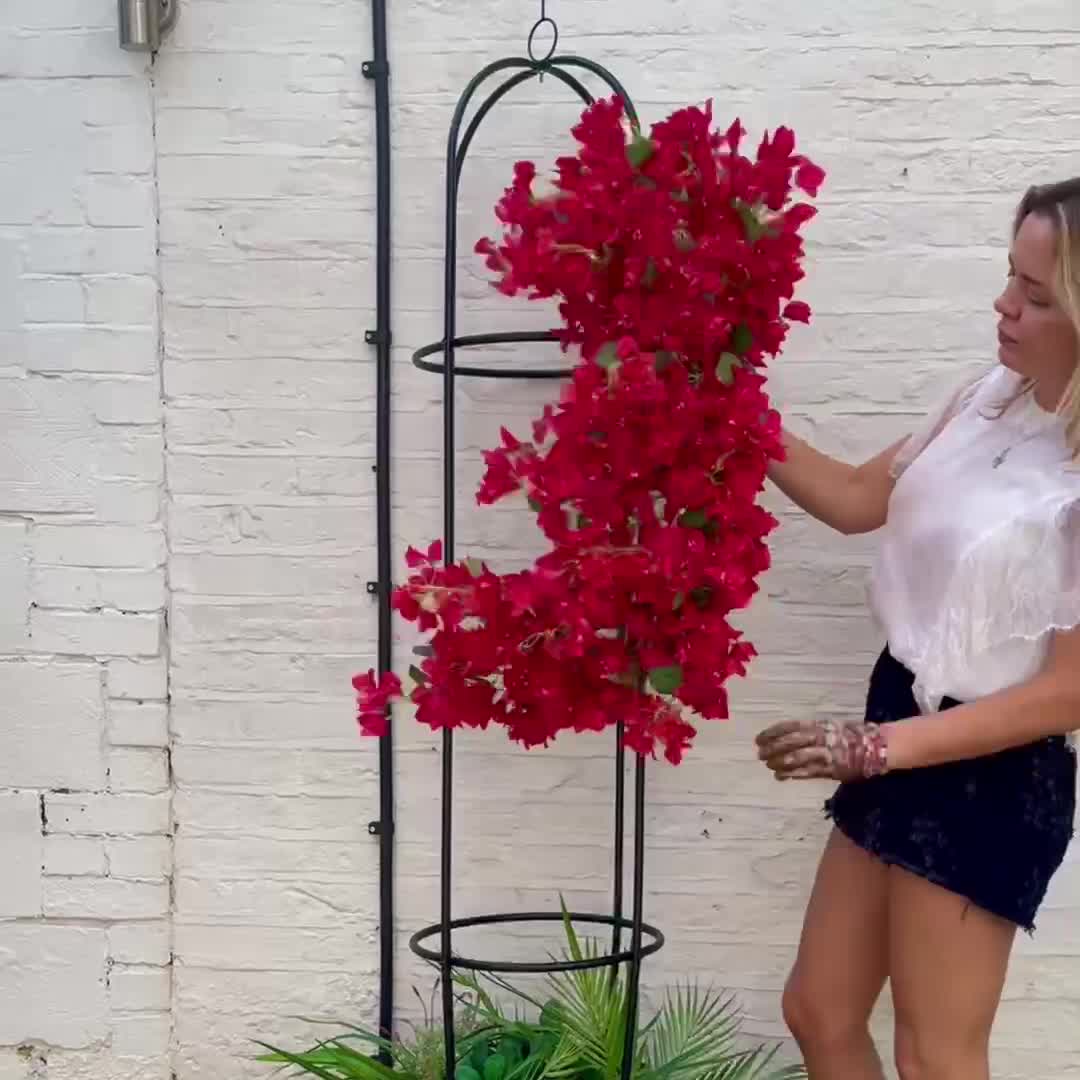 Red Bougainvillea Garland Video